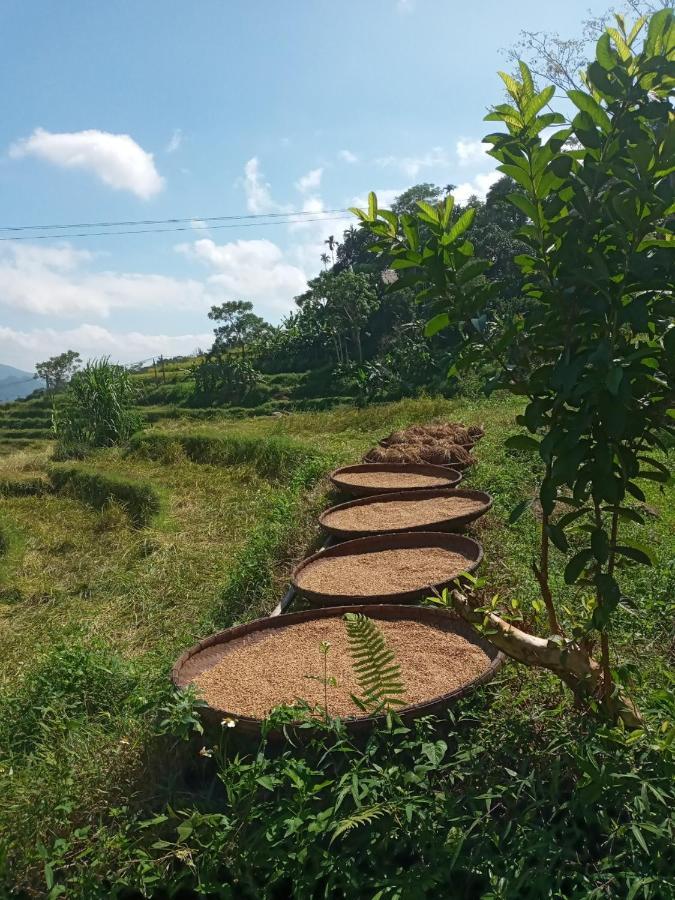 Puluong Bamboo Villa Huong Ba Thuoc Dış mekan fotoğraf