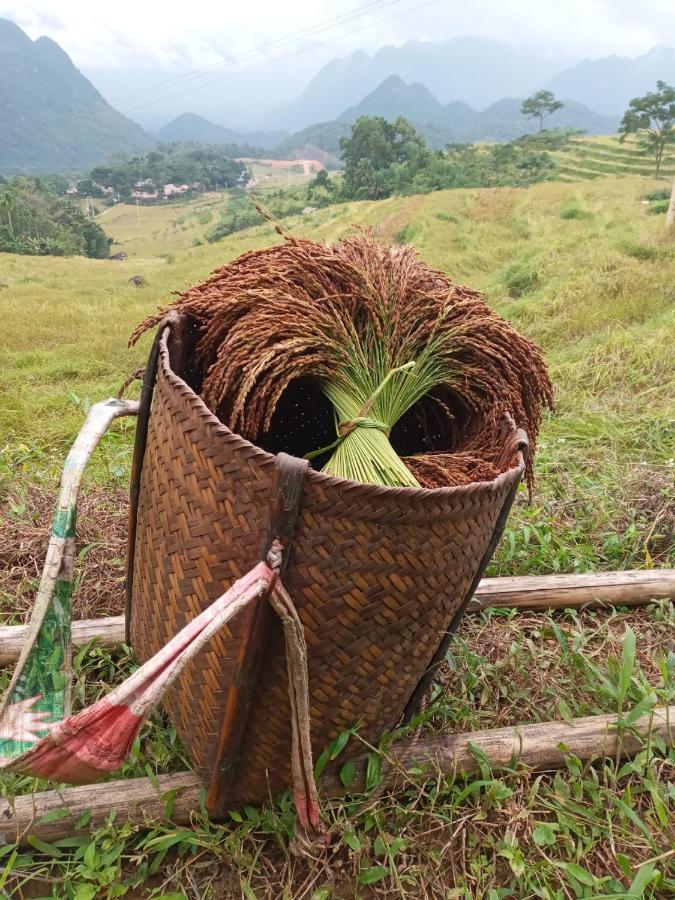 Puluong Bamboo Villa Huong Ba Thuoc Dış mekan fotoğraf