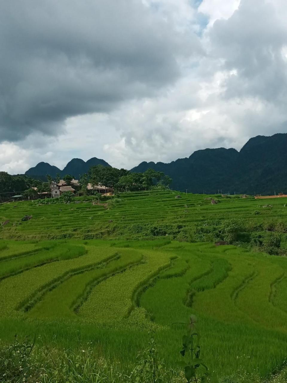Puluong Bamboo Villa Huong Ba Thuoc Oda fotoğraf